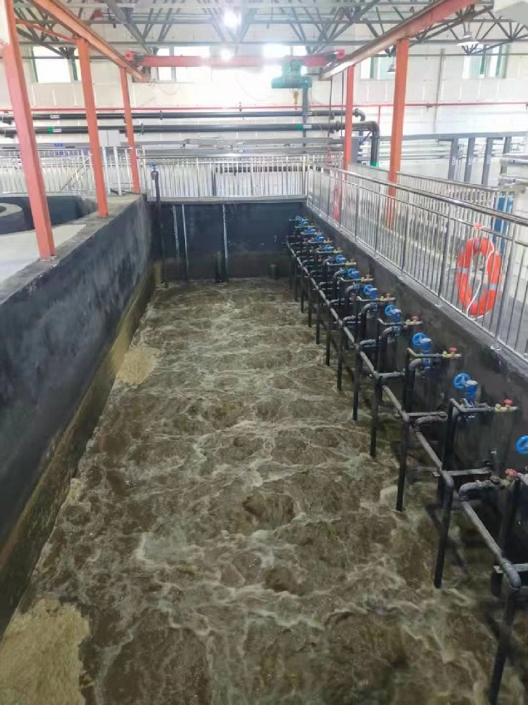 工業(yè)園污水廠廢水處理設(shè)備