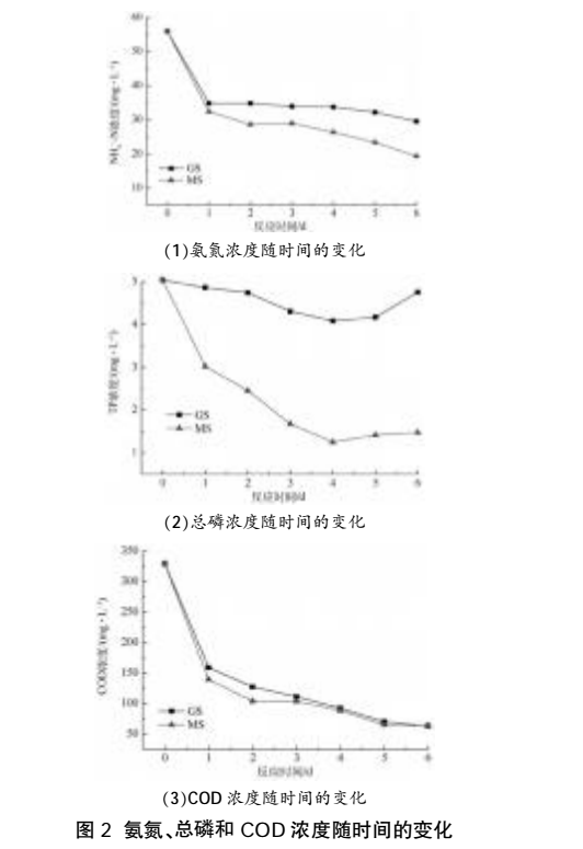 人工濕地處理農(nóng)村生活污水