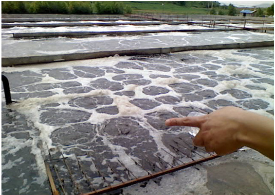 污水治理活性污泥處理工藝